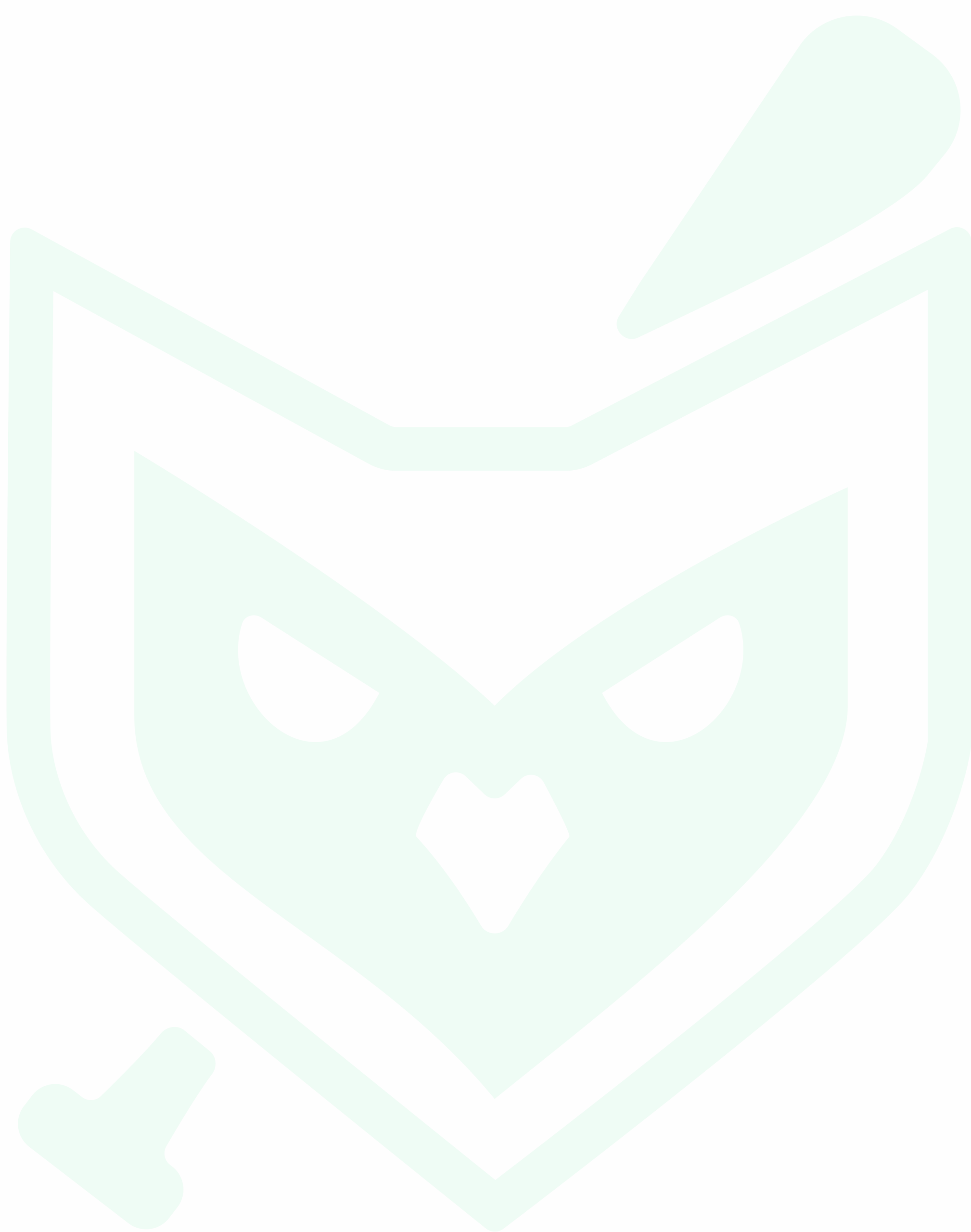 CoachBall